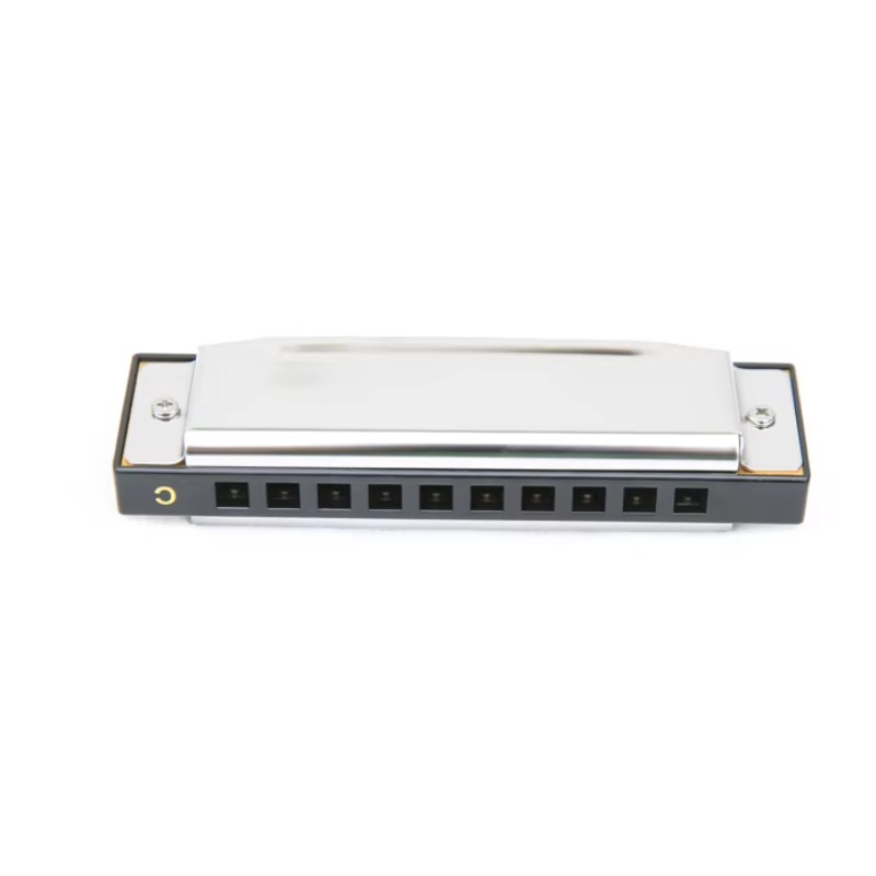 Customized 10-hole Harmonica C - огляд і ціна Musical Instrument Logo