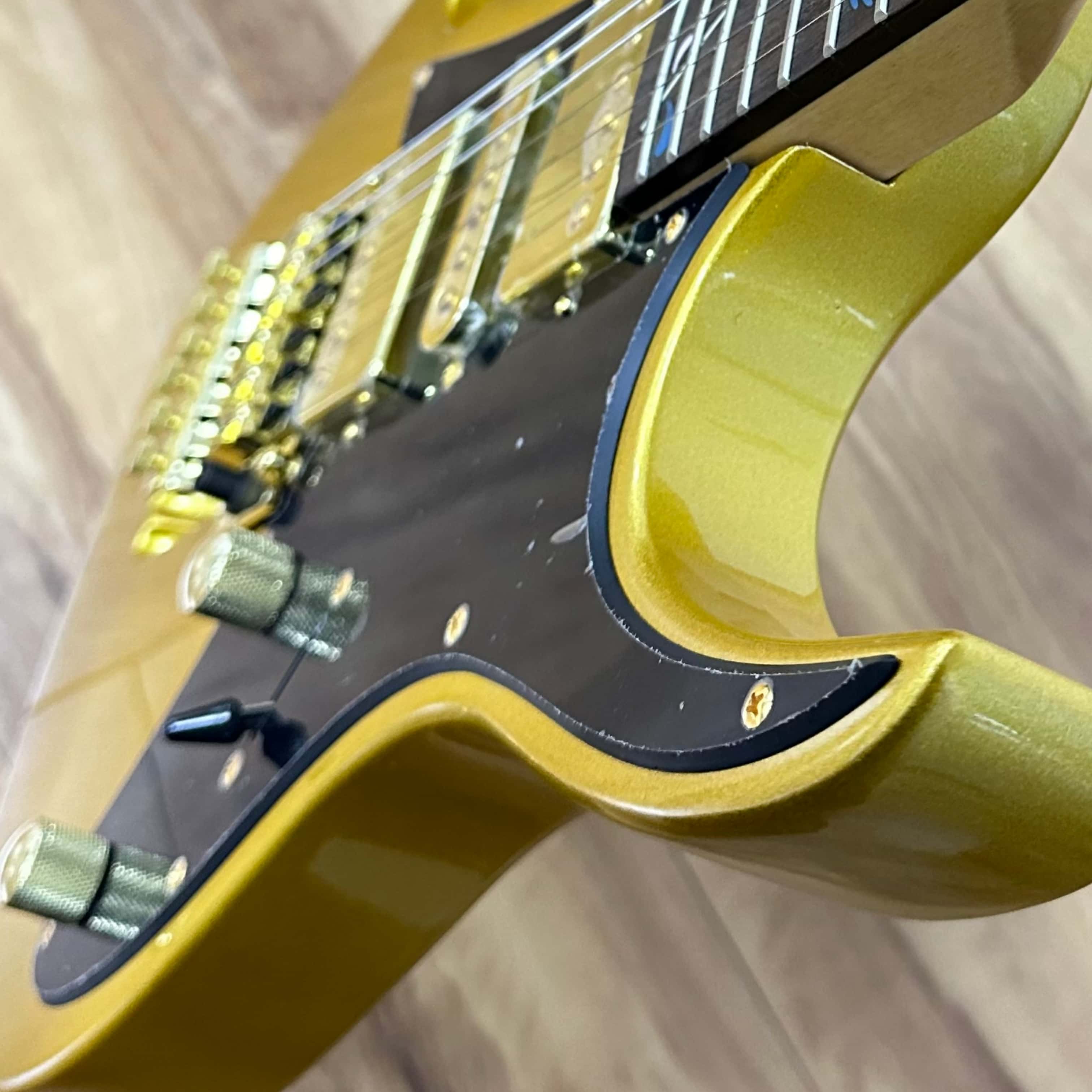 US Warehouse Custom Electric G - огляд і ціна Musical Instrument Logo