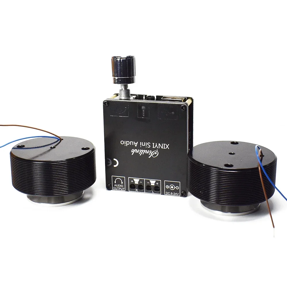 1 Set 50W 2.0 HIFI Vibration S - огляд і ціна Musical Instrument Diy