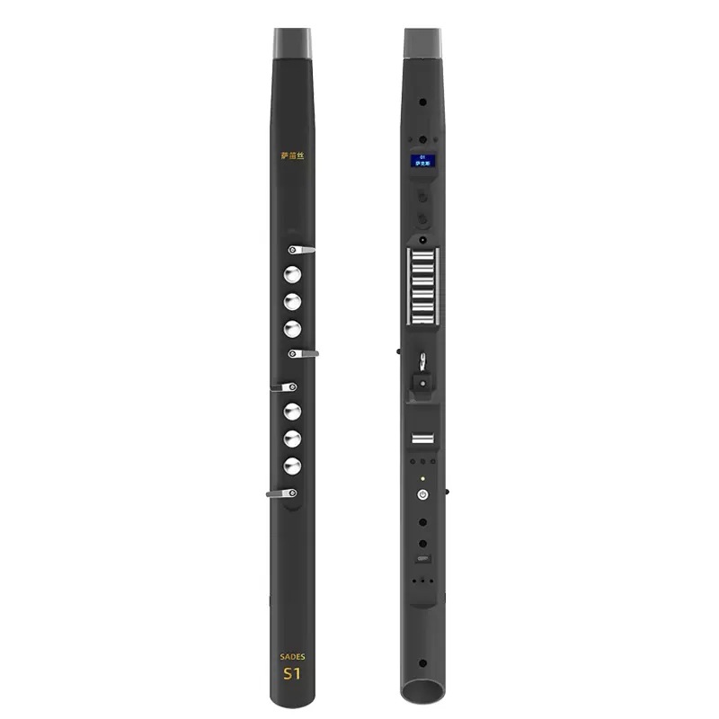 Electric Wind Instrument, Begi - огляд і ціна Musical Instrument ____